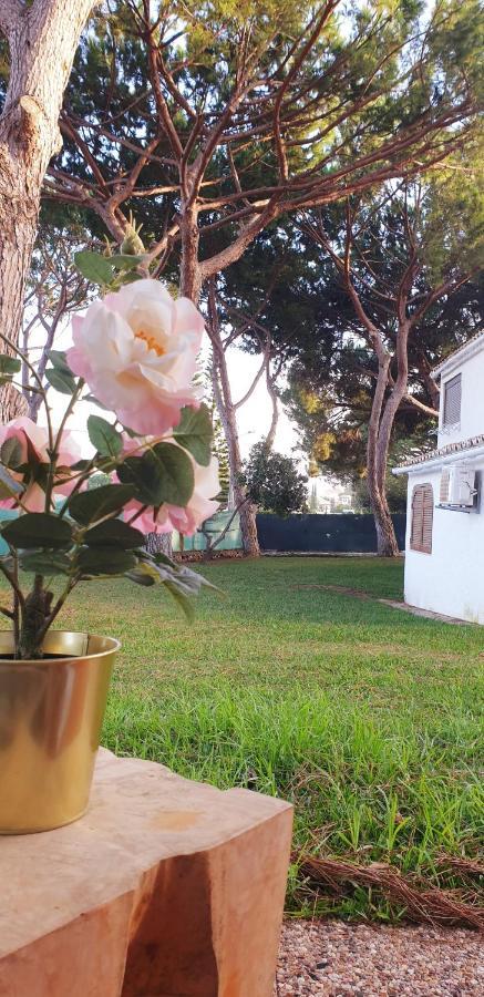 Estudio Na Falesia Albufeira Exteriér fotografie