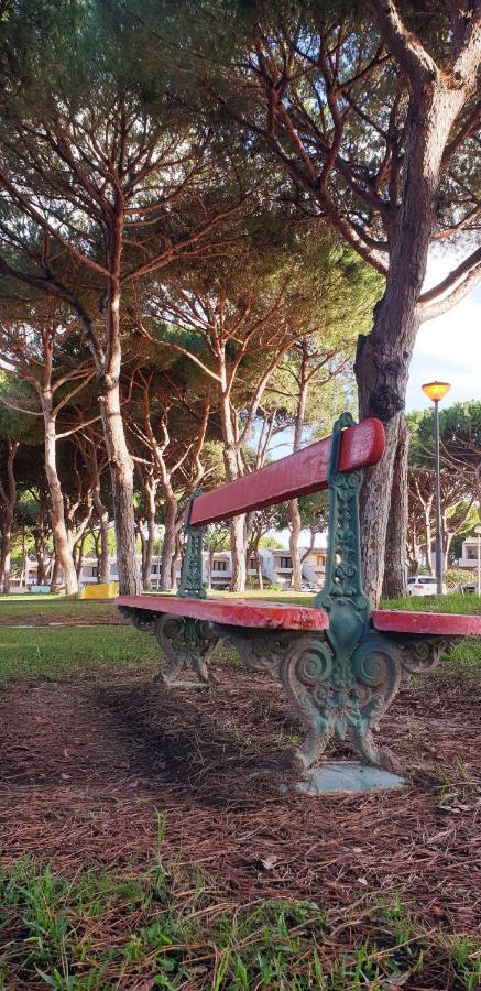 Estudio Na Falesia Albufeira Exteriér fotografie